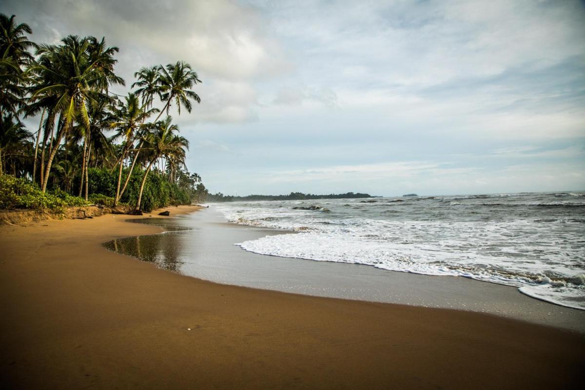 Infinity Of Sri Lanka Hotel Paiyagala Exterior photo